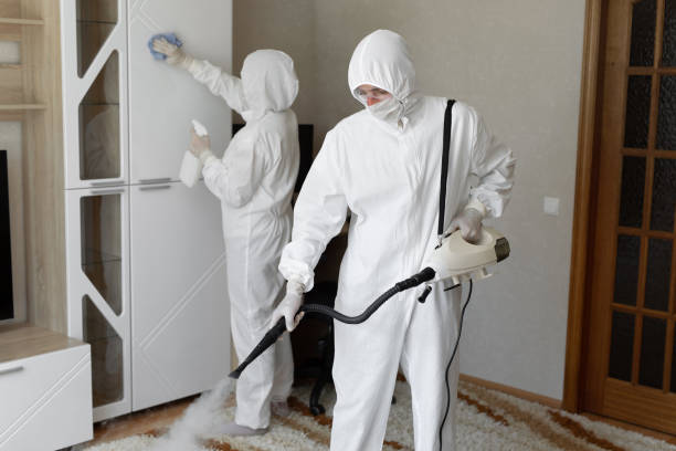 Biohazard Mold Removal in Mitchellville, MD