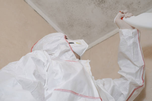 Mold Remediation for Vacation Homes in Mitchellville, MD